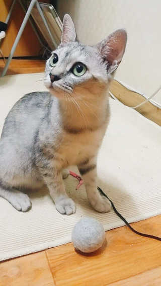 으콩님이 올린 리뷰 사진 1