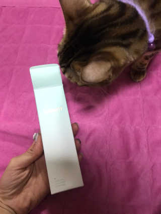 Erika님이 올린 리뷰 사진 1