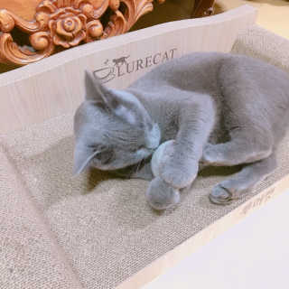 율집사님이 올린 리뷰 사진 3