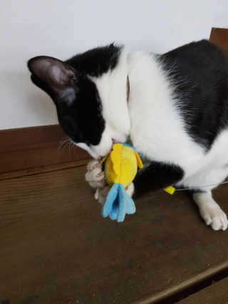HAMMY님이 올린 리뷰 사진 4