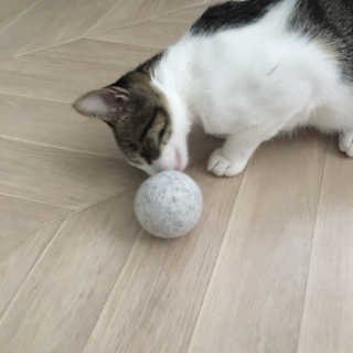 단발소녀님이 올린 리뷰 사진 2