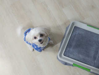 강별포토님이 올린 리뷰 사진 1