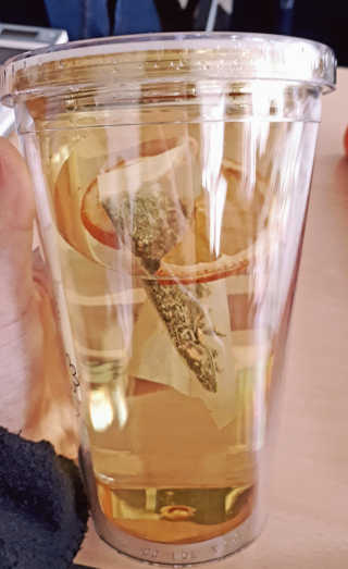 더THE담다 디톡스 워터 팩 500ml 5개 — 4점을 준 리뷰어가 2017년 3월 올린 사용 사진