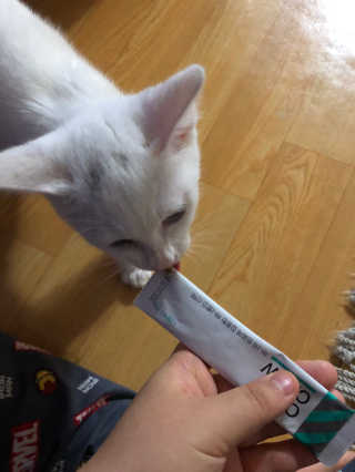 momoa님이 올린 리뷰 사진 3