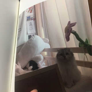 이브생로랑님이 올린 리뷰 사진 1