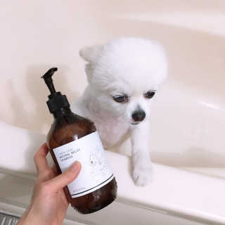 백설님이 올린 리뷰 사진 3