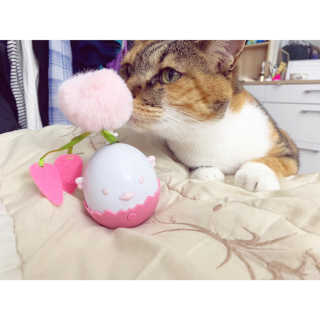 호고미야님이 올린 리뷰 사진 1