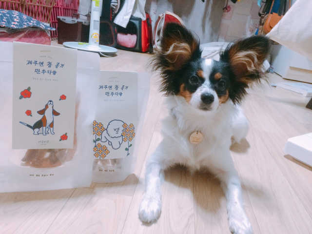 제주도에서 온 깨끗한 친환경 반려동물 음식 어글어글 리뷰 사진