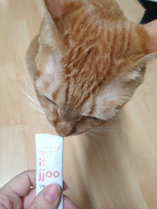 김진영님이 올린 리뷰 사진 4