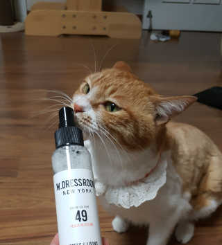 더블유드레스룸 드레스퍼퓸 150ml — 4.33점을 준 리뷰어가 2018년 6월 올린 사용 사진