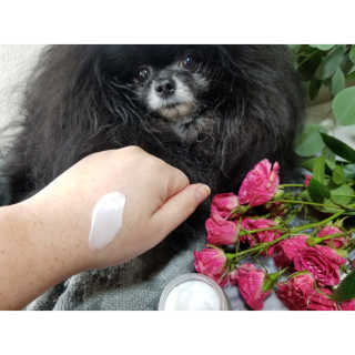 Peepingpomeranian님이 올린 리뷰 사진 3