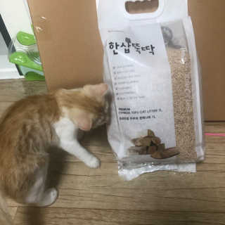 도담공주님이 올린 리뷰 사진 3
