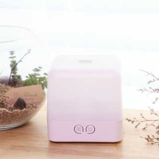 레비올라님이 올린 리뷰 사진 4