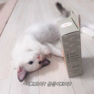 라움이님이 올린 리뷰 사진 1