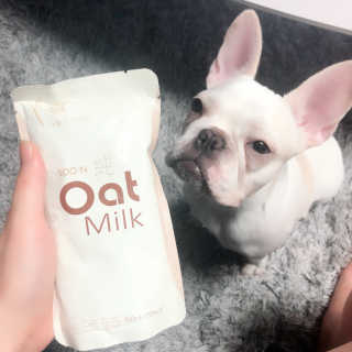 불독키우는개엄마❤️님이 올린 리뷰 사진 1