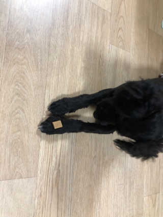 유짱님이 올린 리뷰 사진 4