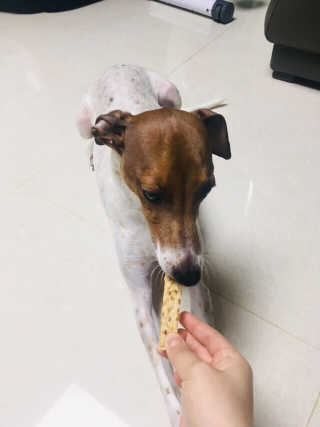 율준맘님이 올린 리뷰 사진 2