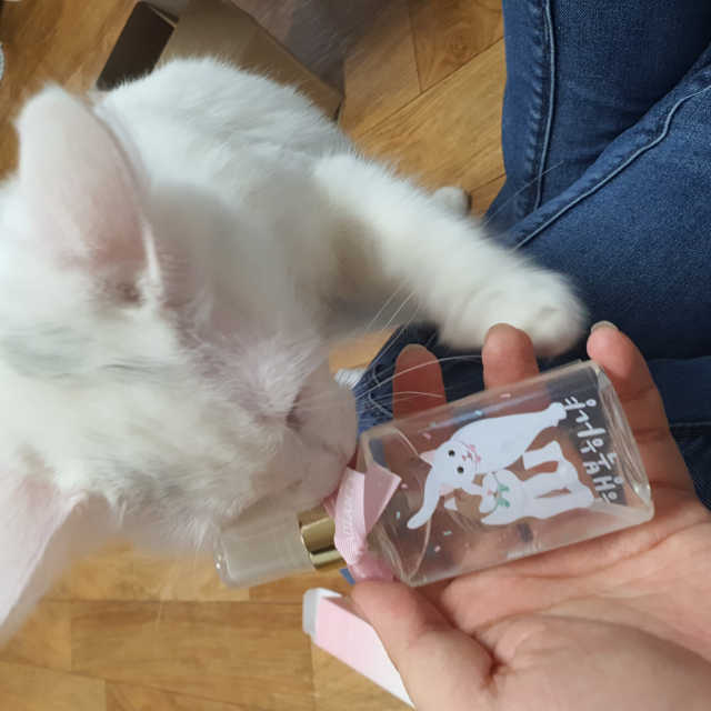 [레디언티] 고양이 천연향수 행복하냥 리뷰 사진