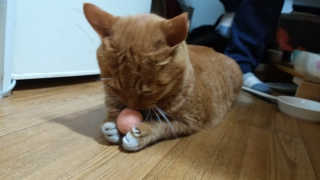 냠냠잉님이 올린 리뷰 사진 2