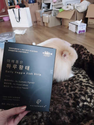 펫테라피 플레이트 야채품은 하루황태 — 5점을 준 리뷰어가 2020년 1월 올린 사용 사진