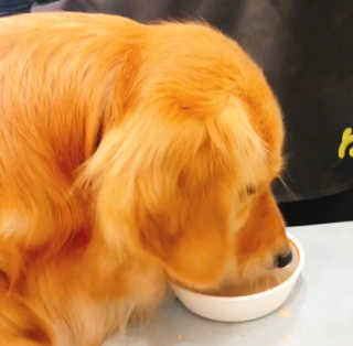 syys님이 올린 리뷰 사진 3