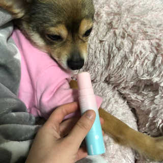 유경님이 올린 리뷰 사진 3