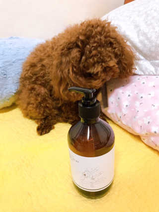 연이님이 올린 리뷰 사진 1