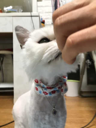 이윤희님이 올린 리뷰 사진 3