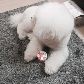 임한비님이 올린 리뷰 사진 1