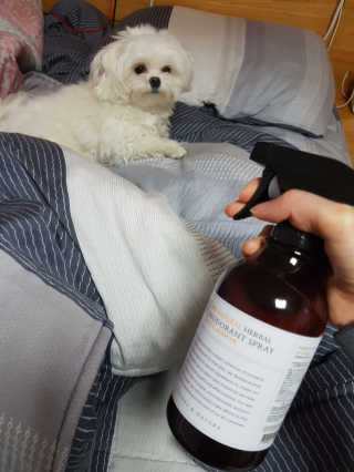 김고양이님이 올린 리뷰 사진 4
