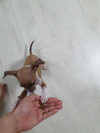jjjony님이 올린 리뷰 사진 2