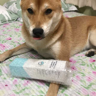 yeji님이 올린 리뷰 사진 1