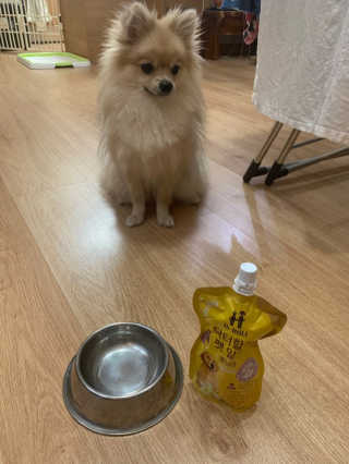 닥터할리펫밀크 8종 — 5점을 준 리뷰어가 2019년 10월 올린 사용 사진