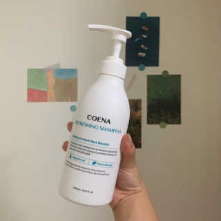코에나샴푸 500ml — 5점을 준 리뷰어가 2019년 8월 올린 사용 사진