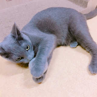 율집사님이 올린 리뷰 사진 2