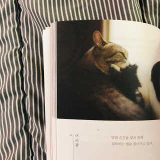 현꾸님이 올린 리뷰 사진 2