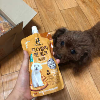 닥터할리펫밀크 8종 — 5점을 준 리뷰어가 2018년 10월 올린 사용 사진