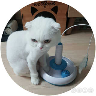 sunny38님이 올린 리뷰 사진 1