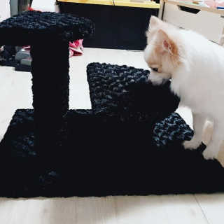 곰같은여우님이 올린 리뷰 사진 3