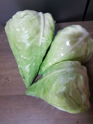 [프레베] 꼬깔양배추 3통 1.8kg 이상 — 5점을 준 리뷰어가 2018년 12월 올린 사용 사진