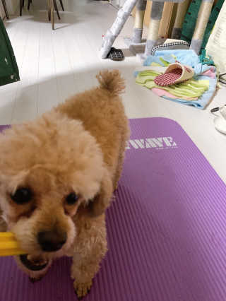 랑이님이 올린 리뷰 사진 1
