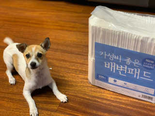 Lily님이 올린 리뷰 사진 1
