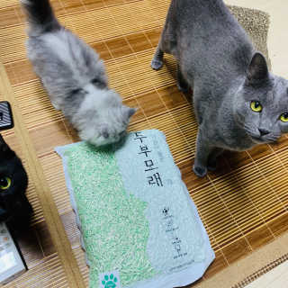 한비님이 올린 리뷰 사진 4