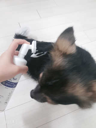 꽃수니어니님이 올린 리뷰 사진 2