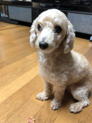 쭌쭌맘님이 올린 리뷰 사진 3