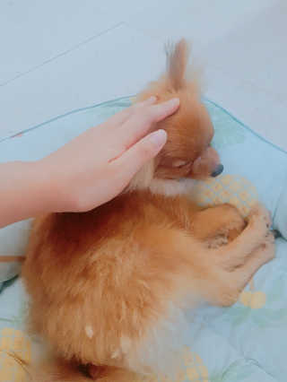 moon님이 올린 리뷰 사진 3