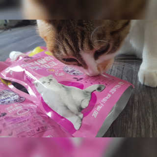 코코민네님이 올린 리뷰 사진 3