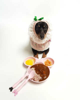 핫바맘님이 올린 리뷰 사진 1