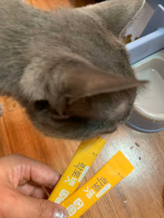pure님이 올린 리뷰 사진 1