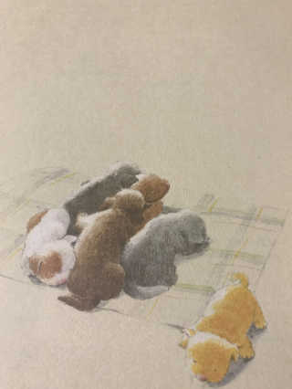 안주리님이 올린 리뷰 사진 1
